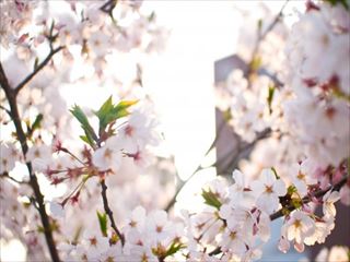 DSC_00943-600x401_R